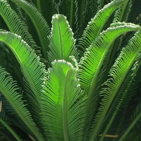 Le Patio En - D'hotes