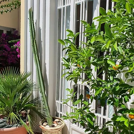Bed & Breakfast Le Patio En - D'hotes Narbonne