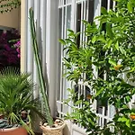 ベッド・アンド・ブレックファスト Le Patio En - D'hotes ナルボンヌ