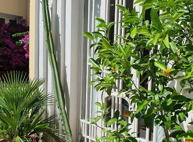 Bed & Breakfast Le Patio En - D'hotes Narbonne